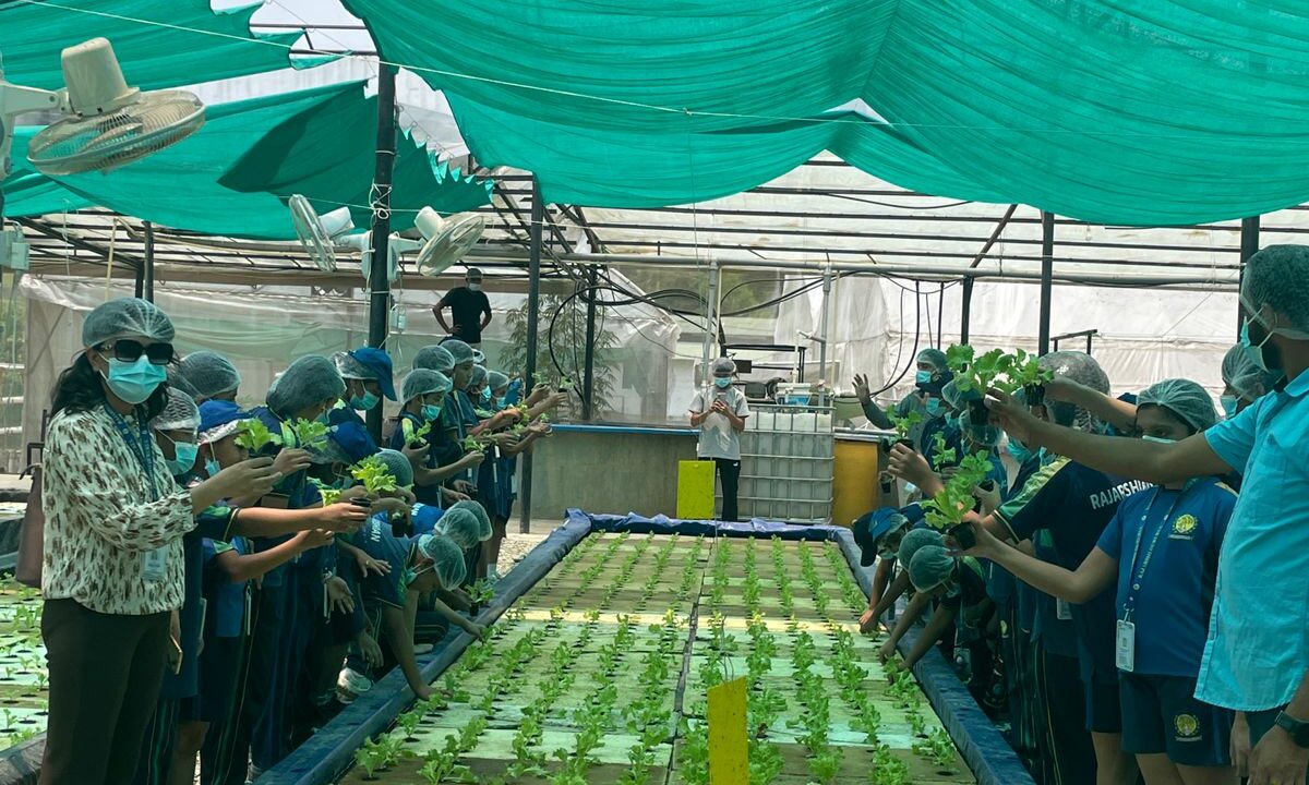 Soil-less, Waste-less, Limitless: A Day at Hydroponics Nepal