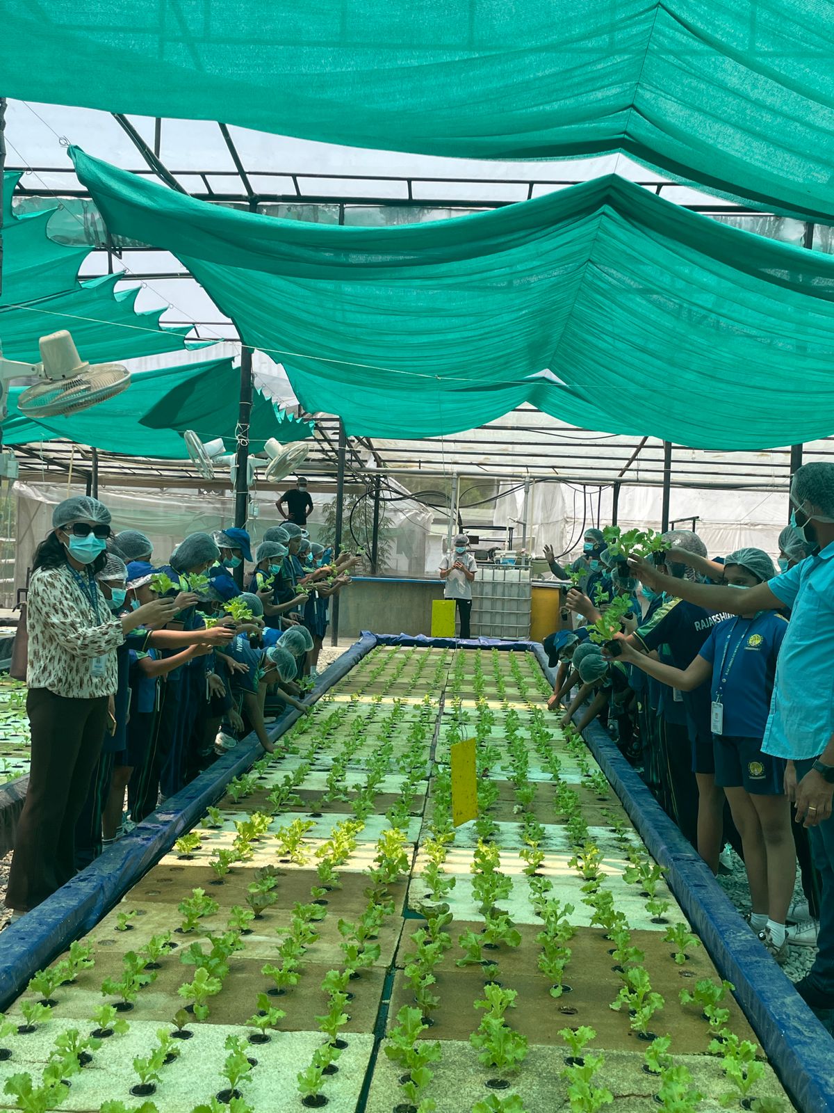 Soil-less, Waste-less, Limitless: A Day at Hydroponics Nepal